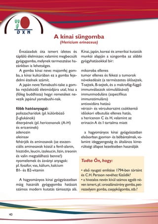 A kínai süngomba
                                    (Hericium erinaceus)

       Évszázadok óta ismert ízletes és             Kínai, japán, koreai és amerikai kutatók
     tápláló élelmiszer, valamint megbecsült        munkái alapján a süngomba az alábbi
     gyógygomba, melynek termesztése ha-            gyógyhatásokkal bír:
     zánkban is lehetséges.
       A gomba kínai neve: majomfej gom-            mikoroba ellenes
     ba, a kínai kultúrában ez a gomba feje-        tumor ellenes és fékezi a tumorok
     delmi ételnek számít.                          növekedését (a természetes ölősejtek,
       A japán neve:Yamabushi-take a gom-           T-sejtek, B-sejtek, és a makrofág-függő
     ba rejtőzködő életmódjára utal, hisz a         immunválaszok stimulálásával)
     (főleg buddhista) hegyi remetéket ne-          immunmoduláns (aspecifikus
     vezik japánul yamabushi-nak.                   immunstimuláns)
                                                    antioxidáns hatású
     főbb hatóanyagai:                              vérzsír- és vércukorszint csökkentő
     poliszacharidok (pl. különböző                 időskori elbutulás ellenes hatás,
     β-glukánok)                                    a hericenon C és H, valamint az
     diterpének (pl. hericenonok (A-H)              erinacin A és I tartalma miatt
     és ericeninek)
     adenozin                                         a hagyományos kínai gyógyászatban
     oleinsav                                       elsősorban gyomor- és bélbántalmak, va-
     fehérjék és aminosavak (az esszen-             lamint ideggyengeség és általános kime-
     ciális aminosavak közül a fenil-alanin,        rültségi állapot kezelésében használják
     hisztidin, leucin, izoleucin, lizin, treonin
     és valin megtalálható benne!)
     nyomelemek és ásványi anyagok:                 Tudta Ön, hogy:
     pl. foszfor, vas, kálium, kalcium
     B1- és B2-vitamin                    • első nyugati említése 1794-ben történt
                                          és C.H. Persson nevéhez fűződik?
       A hagyományos kínai gyógyászatban • a hivatalos nevén kívül számos egyéb né-
     máig használt gyógygomba hatásait ven ismert, pl.: oroszlánsörény gomba, pet-
     számos modern kutatás támasztja alá. rezselyem gomba, cseppkőgomba, stb.?




40
 