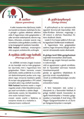 A zeller                                   A páfrányfenyő
               (Apium graveolens)                                   (Ginkgo biloba)

        A zeller kaszattermése (Apii fructus), ősidők      A páfrányfenyő az ősi nyitvatermők
     óta használt természetes vizelethajtó.Az óko-      egyedüli fennmaradt képviselője. Dél-
     ri görögök a győztes atlétáknak zellerbort         kelet-Kínában őshonos, magassága a
     adtak. A hagyományos indiai gyógyászatban a        30 métert is elérheti. Hazánkban fő-
     zeller termését vizelethajtónak, valamint meg-     ként díszfának ültetik.
     fázásra, influenzára, emésztési zavarok meg-          Levelei 3–4 cm hosszú nyéllel és 4–8 cm szé-
     szüntetésére, ízületi gyulladásra, továbbá a máj   les, legyezőszerű levéllemezzel rendelkeznek.
     és lép betegségeinek kezelésére használták.           A hagyományos kínai gyógyászatban
     főbb hatásai: vizelethajtó, simaizom­ örcs­
                                               g        aszthma, magas vérnyomás, fülzúgás, szív ko-
     oldó, nyugtató, antibakteriális, antifungális      szorúér elmeszesedés esetén alkalmazzák.

     A nyálkás útifű vagy bolhafű                 A ginkgo levél főbb gyógyhatásai:
               (Plantago psyllium)                Leginkább kivonatokban alkalmazzák.
                                                  Növeli az agy oxigén hiánnyal szembe-
        Az útifűfélék termését (magját) évszázad- ni toleranciáját
     ok óta használják mind az indiai gyógyászat- védi az agyszövetet a gátolt vérellátás-
     ban (āyurveda), mind a hagyományos kínai ból és hipoxiából származó hatások
     gyógyászatban. Főként hasmenés, aranyér, következményeitől
     székrekedés, vizelési problémák és az embe- gátolja az agyödéma kifejlődését ill.
     rek életkörülményeinek javulása során meg- gyorsítja annak visszafejlődését
     jelenő magas vérnyomás kezelésére ajánlják. növeli az emlékezőképességet, tanulási
     Az európai népi gyógyászatban a XVI. század képességet
     környékén jelent meg a bolhafű használata.   antioxidáns hatású
     főbb hatásai: hasmenés esetén a magok
     magukba szívják a fölös folyadékmennyisé-      A fenti hatásokért első sorban a
     get, ezzel normalizálva a széklet állagát    diterpének és a flavonoidok felelősek. A
     székrekedés esetén, bő folyadékkal be- ginkgo levélből készült kivonatokat és
     véve enyhe hashajtó hatású                   egyéb készítményeket a hivatalos gyógy-
     aranyér esetén enyhíti a fájdalmat, az ászatban is használják. A levél drog a VIII.
     aranyeres vérzést és a viszketést is.        Magyar Gyógyszerkönyvben és a 6. Euró-
     koleszterinszint csökkentő                   pai Gyógyszerkönyvben is szereplel.




44
 
