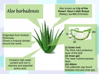 DXN Aloe Vita.products . health relationship | PDF