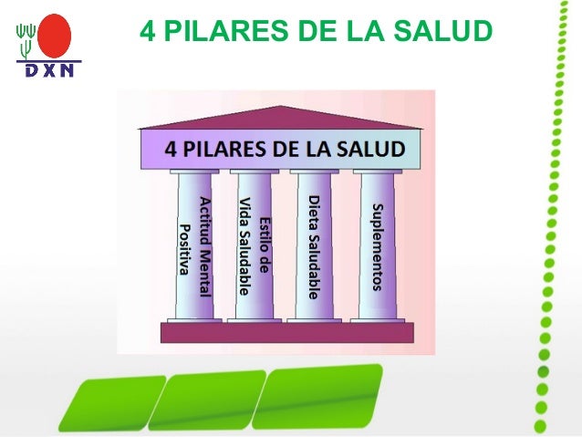 Resultado de imagen para 4 pilares de la salud dxn