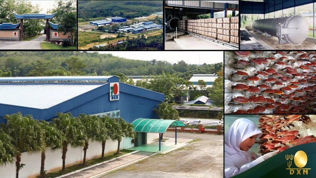 DXN Malaysia Ganoderma MLM company profile | PDF
