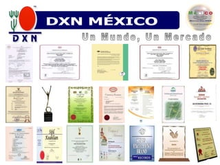 DN VENEZUELADXN MÉXICOUn Mundo, Un Mercado