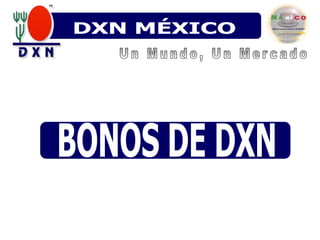 Regulador de presión arterial y     bascular.