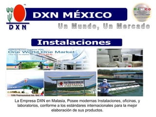 DXN VENEZUELADXN MÉXICODXN VenezuelaUn Mundo, Un MercadoInstalacionesLa Empresa DXN en Malasia, Posee modernas Instalaciones, oficinas, y laboratorios, conforme a los estándares internacionales para la mejor elaboración de sus productos.