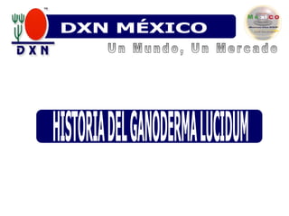 DXN VENEZUELADXN MÉXICODXN VenezuelaDXN ColombiaLinea de Productos Un Mundo, Un MercadoHISTORIA DEL GANODERMA LUCIDUM