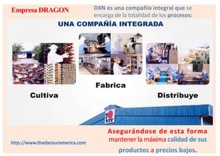 DXN esunacompañía integral quese encargade la totalidad de los procesos:Empresa DRAGONAsegurándose de esta formamantenerla máximacalidad de susproductosa preciosbajos.http://www.thedxnsuramerica.com