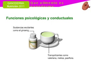 Funciones psicológicas y conductuales 