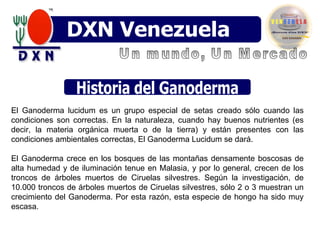 Un mundo, Un Mercado DXN Venezuela El Ganoderma lucidum es un grupo especial de setas creado sólo cuando las condiciones son correctas. En la naturaleza, cuando hay buenos nutrientes (es decir, la materia orgánica muerta o de la tierra) y están presentes con las condiciones ambientales correctas, El Ganoderma Lucidum se dará.  El Ganoderma crece en los bosques de las montañas densamente boscosas de alta humedad y de iluminación tenue en Malasia, y por lo general, crecen de los troncos de árboles muertos de Ciruelas silvestres. Según la investigación, de 10.000 troncos de árboles muertos de Ciruelas silvestres, sólo 2 o 3 muestran un crecimiento del Ganoderma. Por esta razón, esta especie de hongo ha sido muy escasa. Historia del Ganoderma 