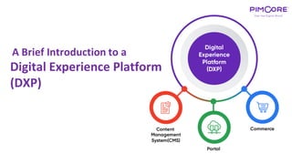 A Brief Introduction to a
Digital Experience Platform
(DXP)
 