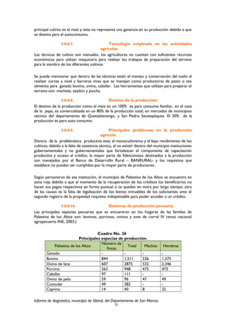 principal cultivo es el maíz y este no representa una ganancia en su producción debido a que
se destina para el autoconsumo.
5.8.8.7. Tecnología empleada en las actividades
agrícolas.
Las técnicas de cultivo son manuales, los agricultores no cuentan con suficientes recursos
económicos para utilizar maquinaria para realizar los trabajos de preparación del terreno
para la siembra de los diferentes cultivos
Se puede mencionar que dentro de las técnicas están el manejo y conservación del suelo al
realizar curvas a nivel y barreras vivas que se manejan como productoras de pasto o sea
alimento para ganado bovino, ovino, caballar. Las herramientas que utilizan para preparar el
terreno son: machete, azadón y piocha.
5.8.8.8. Destino de la producción
El destino de la producción como el maíz en un 100% es para consumo familiar, en el caso
de la papa, es comercializada en un 80% de la producción total, en mercados de municipios
vecinos del departamento de Quetzaltenango, y San Pedro Sacatepéquez. El 20% de la
producción es para auto consumo.
5.8.8.9. Principales problemas en la producción
agrícola
Dentro de la problemática productiva esta: el monocultivismo y el bajo rendimiento de los
cultivos, debido a la falta de asistencia técnica, al no existir dentro del municipio instituciones
gubernamentales y no gubernamentales que fortalezcan el componente de capacitación
productiva y acceso al crédito; la mayor parte de fideicomisos destinados a la producción
son manejados por el Banco de Desarrollo Rural – BANRURAL- y los requisitos que
establece no pueden ser cumplidos por la mayor parte de productores .
Según personeros de esa institución, el municipio de Palestina de los Altos se encuentra en
zona roja debido a que al momento de la recuperación de los créditos los beneficiarios no
hacen sus pagos respectivos en forma puntual o se quedan en mora por largo tiempo; otra
de las causas es la falta de legalización de los bienes inmuebles de los solicitantes ante el
segundo registro de la propiedad requisito indispensable para poder acceder a un crédito.
5.8.8.10. Sistemas de producción pecuaria.
Las principales especies pecuarias que se encuentran en los hogares de las familias de
Palestina de los Altos son: bovinos, porcinos, ovinos y aves de corral IV censo nacional
agropecuario INE, 2003.)
Cuadro No. 36
Principales especias de producción.
Palestina de los Altos
Número de
fincas
Total Machos Hembras
Ganado - - - -
Bovino 844 1,511 236 1,275
Ovino de lana 607 2875 532 2,346
Porcino 563 948 475 473
Caballar 97 111 - -
Ovino de pelo 59 96 47 49
Cunicular 49 282 - -
Caprino 14 40 8 32
Informe de diagnóstico, municipio de Sibinal, del Departamento de San Marcos
72
 