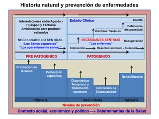 Historia natural y prevención de enfermedades
PRE PATOGENICO PATOGENICO
Niveles de prevención
Primaria Secundaria Terciaria
Contexto social, económico y político Determinantes de la Salud
Promoción de
la salud Protección
específica
Diagnóstico
Temprano y
tratamiento
oportuno
Limitación de
Discapacidad
Rehabilitación
Interrelaciones entre Agente -
Huésped y Factores
Ambientales para producir
estímulos
Interacción Reacción estímulo - huésped
Cambios Tisulares
Deficiencia
discapacidad
Muerte
Recuperación
Estado Clínico
NECESIDADES NO SENTIDAS
“Los Sanos expuestos”
“Los aparentemente sanos “
NECESIDADES SENTIDAS
“Los enfermos“
 