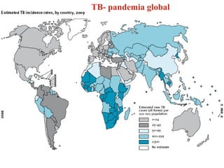 TB- pandemia global   