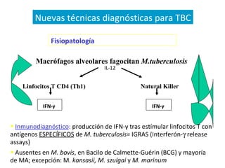 Macrófagos alveolares fagocitan  M.tuberculosis   Linfocitos T CD4 (Th1)   Natural Killer   IL-12 IFN-γ  IFN-γ   Nuevas técnicas diagnósticas para TBC Fisiopatología  de la infección TBC Inmunodiagnóstico :   producción de IFN-γ tras estímular linfocitos T con antígenos  ESPECÍFICOS  de  M. tuberculosis=  IGRAS (Interferón-   release assays) Ausentes en  M. bovis , en Bacilo de Calmette-Guérin (BCG) y mayoría de MA; excepción: M . kansasii, M. szulgai  y  M. marinum  
