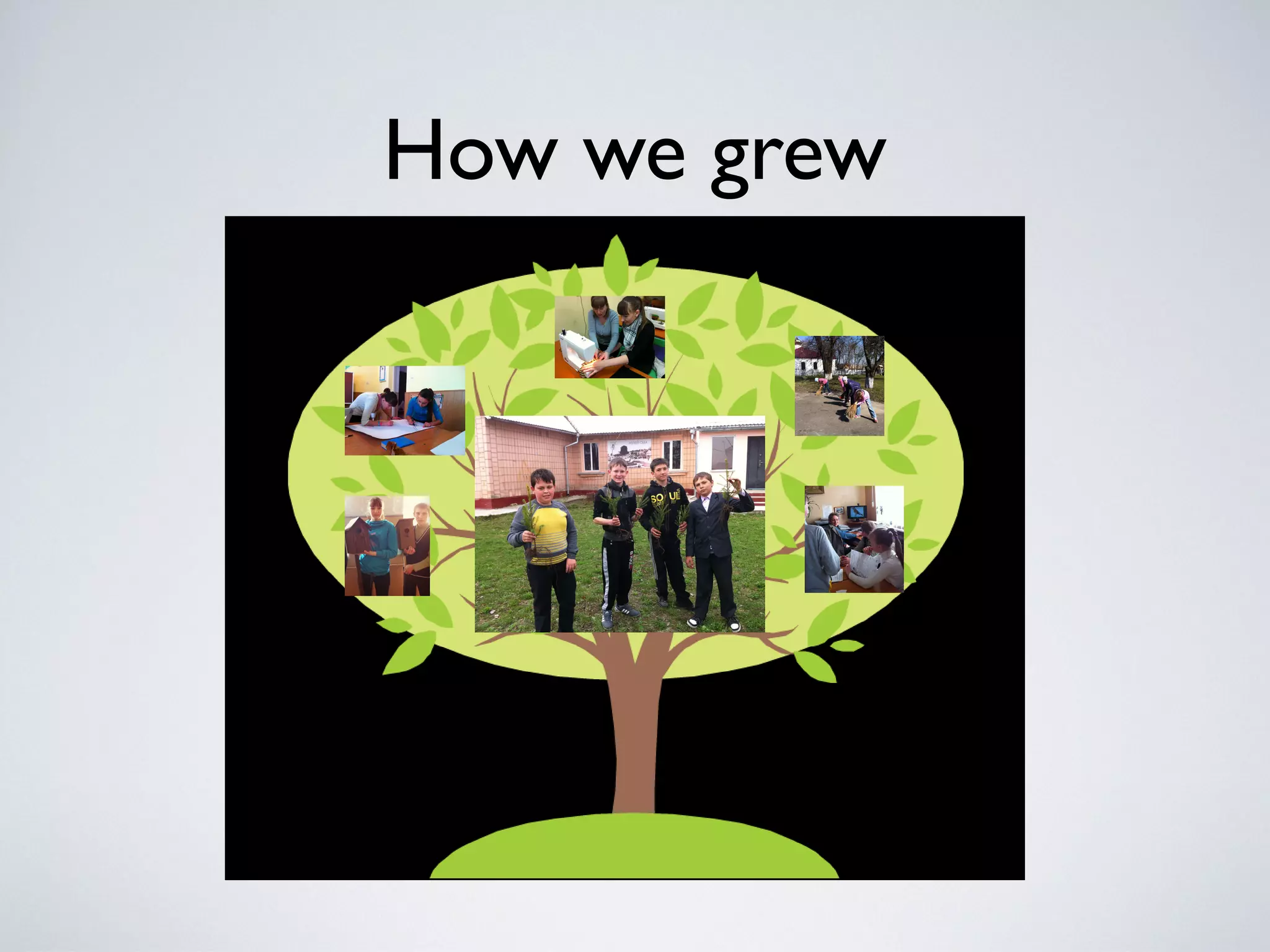 How we grew
 