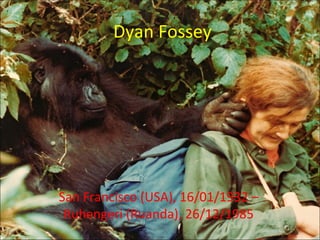 Dyan Fossey




San Francisco (USA), 16/01/1932 –
 Ruhengeri (Ruanda), 26/12/1985
 