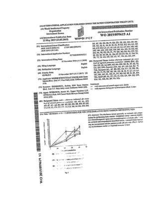 Mark Dybul Character Reference for Serhat Gumrukcu.pdf