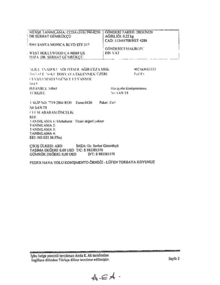 Mark Dybul Character Reference for Serhat Gumrukcu.pdf