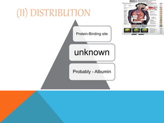 (II) DISTRIBUTION
Protein-Binding site
unknown
Probably - Albumin
 