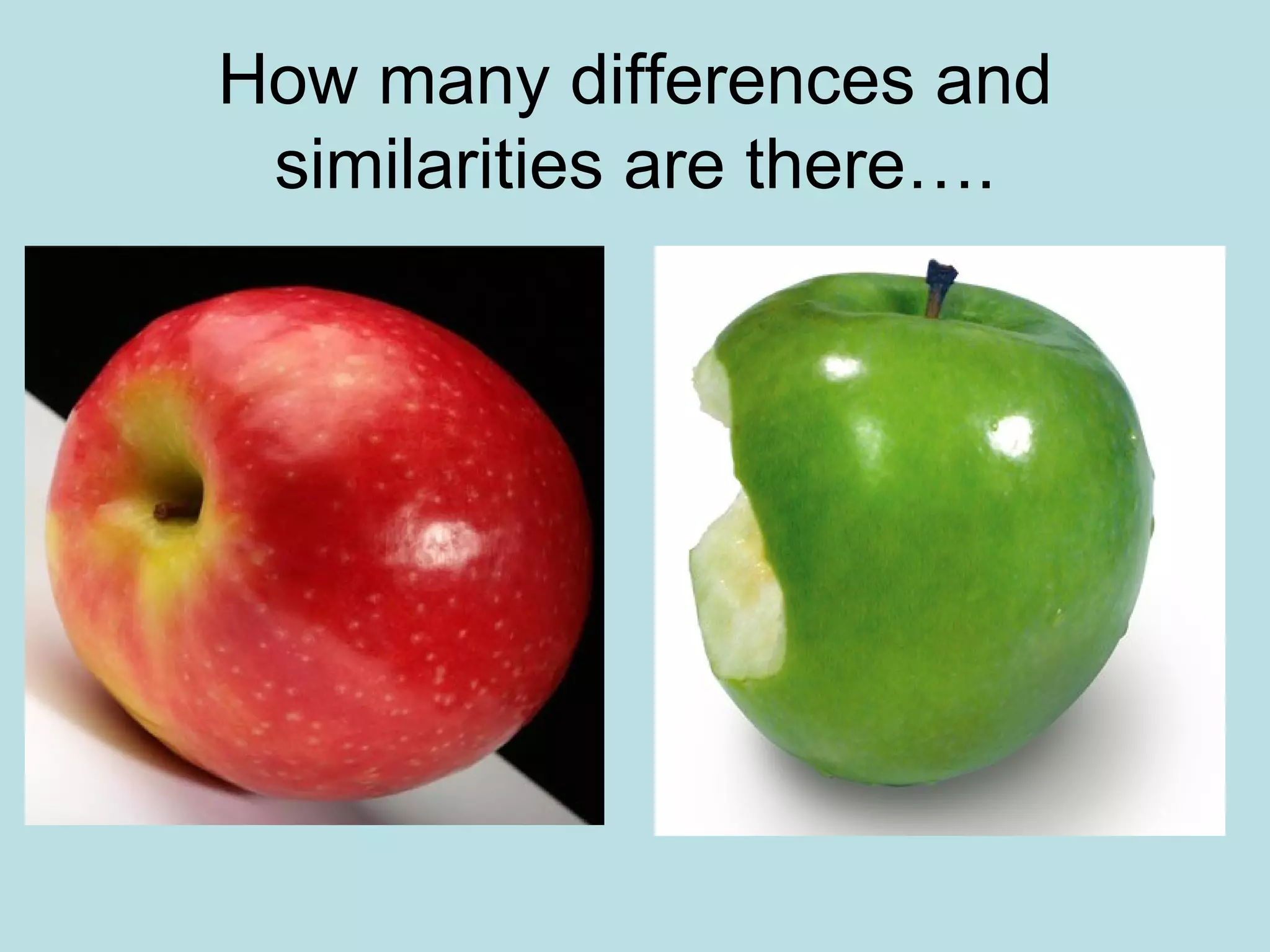 How many differences and similarities are there…. 