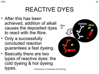 2004                                                       28



                    REACTIVE DYES
• After this has been
  achieved, addition of alkali
  causes the deposited dyes
  to react with the fibre.
• Only a successfully
  concluded reaction
  guarantees a fast dyeing.
• Basically there are two
  types of reactive dyes: the
  cold dyeing & hot dyeing
  types.          Introduction to Coloration & Finishing
 