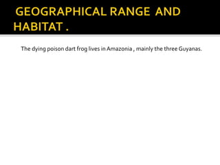 The dying poison dart frog lives in Amazonia , mainly the three Guyanas.
 