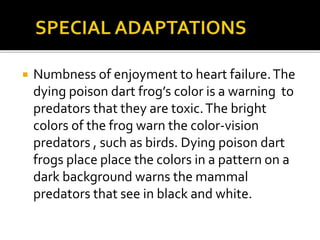  Numbness of enjoyment to heart failure.The
dying poison dart frog’s color is a warning to
predators that they are toxic.The bright
colors of the frog warn the color-vision
predators , such as birds. Dying poison dart
frogs place place the colors in a pattern on a
dark background warns the mammal
predators that see in black and white.
 