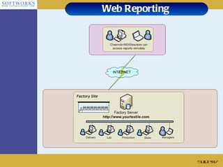 Web Reporting Slide # 