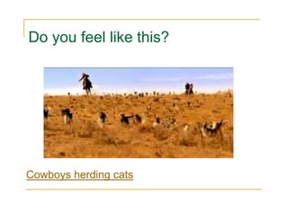 Do you feel like this?




Cowboys herding cats
 