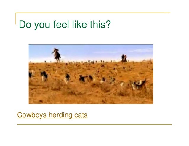 cowboys herding cats download