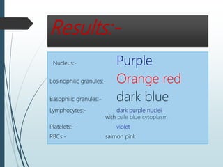 Results:-
Nucleus:- Purple
Eosinophilic granules:- Orange red
Basophilic granules:- dark blue
Lymphocytes:- dark purple nuclei
with pale blue cytoplasm
Platelets:- violet
RBCs:- salmon pink
 