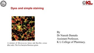 Dyes and simple staining
By
Dr Naresh Dumala
Assistant Professor,
K L College of Pharmacy.
A mixture of Micrococcus luteus and Bacillus cereus
(the rods). The live bacteria fluoresce green
 
