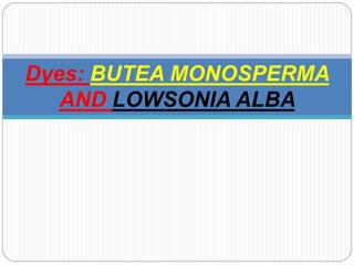 Dyes: BUTEA MONOSPERMA
AND LOWSONIA ALBA
 