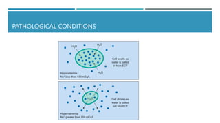 PATHOLOGICAL CONDITIONS
 