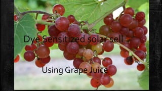 Dye Sensitized solar sell
Using Grape Juice
 