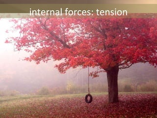 internal forces: tension 