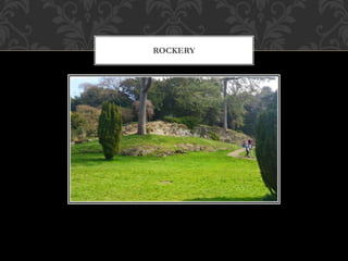 ROCKERY