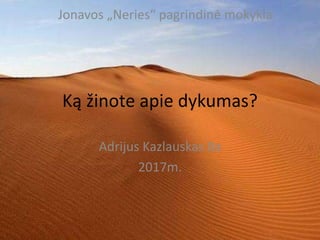 Ką žinote apie dykumas?
Adrijus Kazlauskas 8a
2017m.
Jonavos „Neries“ pagrindinė mokykla
 