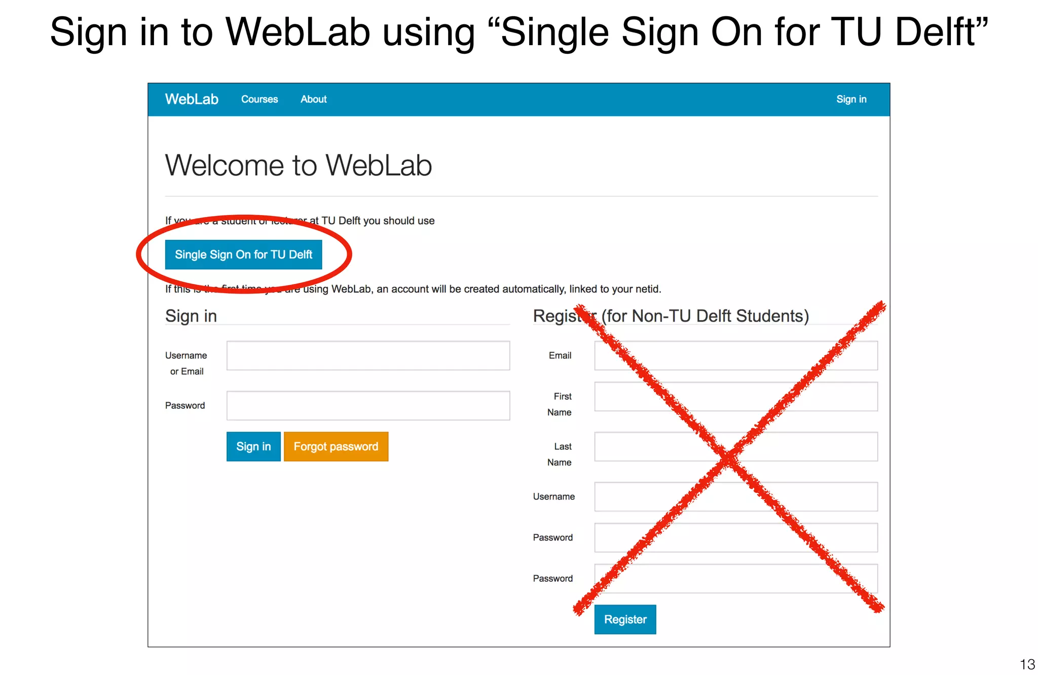 Sign in to WebLab using “Single Sign On for TU Delft”
13
 