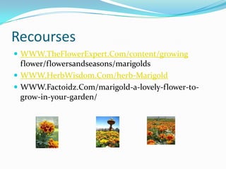 Recourses WWW.TheFlowerExpert.Com/content/growing flower/flowersandseasons/marigolds WWW.HerbWisdom.Com/herb-MarigoldWWW.Factoidz.Com/marigold-a-lovely-flower-to-grow-in-your-garden/