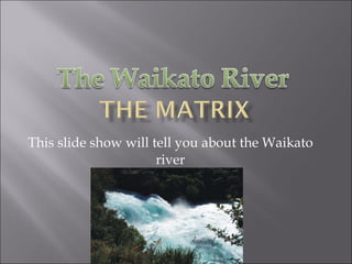 This slide show will tell you about the Waikato river 