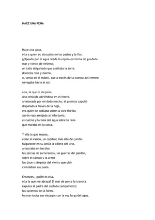 HACE UNA PENA




Hace una pena,
ella a quien yo abrazaba en los pastos y la flor,
golpeada por el agua desde la espina en forma de guadaña.
mar y viento de infierno,
un tallo abigarrado que asaltaba la torre,
doncella rosa y macho,
o, venus en el mástil, que a través de la cuenca del remero
navegaba hacia el sol;


ella, la que es mi pena,
una crisálida abriéndose en el hierro.
arrebatada por mi dedo macho, el plomizo capullo
disparado a través de la hoja,
era quien se doblaba sobre la vara florida
Aarón rosa arrojada al infortunio,
el cuerno y la bola del agua sobre la rana
que moraba en la costa.


Y ella la que reposa,
como el éxodo, un capítulo más allá del jardín.
fulgurante en su anillo la cólera del lirio,
arrastraba en los días
las jarcias de su herencia, las guerras del perdón,
sobre el campo y la arena
los doce triángulos del viento querubín
cincelaban sus pasos.


Entonces, ¿quién es ella,
ella la que me abraza? El mar de gente la transita
expulsa al padre del asolado campamento;
las cavernas de la forma
forman todos sus vástagos con la voz larga del agua.
 