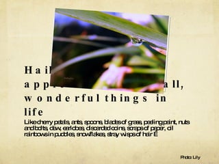 Haiku helps you appreciate the small, wonderful things in life Like cherry petals, ants, spoons, blades of grass, peeling paint, nuts and bolts, dew, earlobes, discarded coins, scraps of paper, oil rainbows in puddles, snowflakes, stray wisps of hair … Photo: Lily 