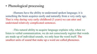 • Phonological processing
-Humans have the ability to understand spoken language; it is
something the brain acquires easily and naturally from a very early age.
That is why during very early childhood (3 years) we can utter and
understand relatively complicated sentences.
-This natural ability to acquire language explains why, when we
listen to verbal communication, we do not consciously register that words
are made up of individual sounds, we only hear the word itself. The
smallest units of sound that make up a word are called phonemes.
 