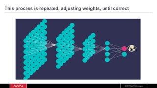 © 2017 MapR Technologies
This process is repeated, adjusting weights, until correct
 