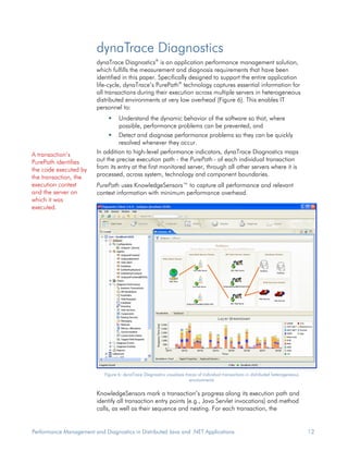 Dyna Trace Whitepaper Performance