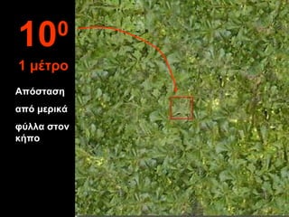 Απόσταση
από μερικά
φύλλα στον
κήπο
100
1 μέτρο
 