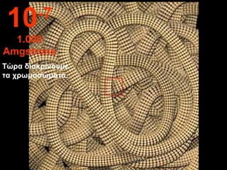 Τώρα διακρίνουμε
τα χρωμοσώματα.
10-7
1.000
Amgstrons
 