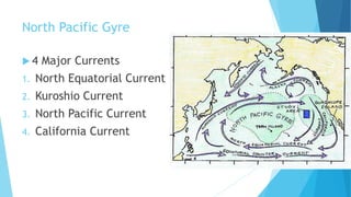 North Pacific Gyre
 4 Major Currents
1. North Equatorial Current
2. Kuroshio Current
3. North Pacific Current
4. California Current
 