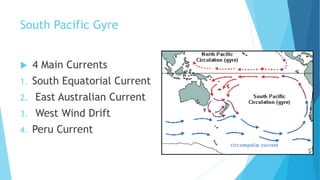 South Pacific Gyre
 4 Main Currents
1. South Equatorial Current
2. East Australian Current
3. West Wind Drift
4. Peru Current
 