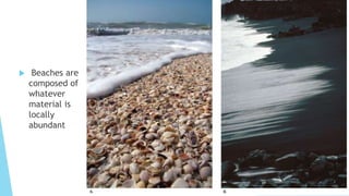  Beaches are
composed of
whatever
material is
locally
abundant
 